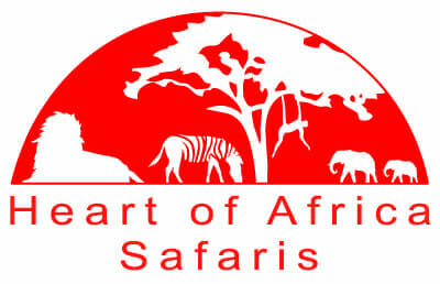 Heart of Africa Safaris - Southern Africa safari specialist